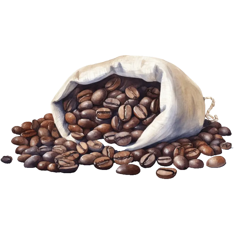 Coffee beans illustration representing long-term investment in a Sakleshpur coffee estate