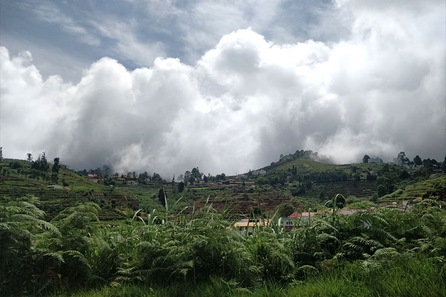 Terraced farmland and misty hills at the Jain Farms Kodaikanal community